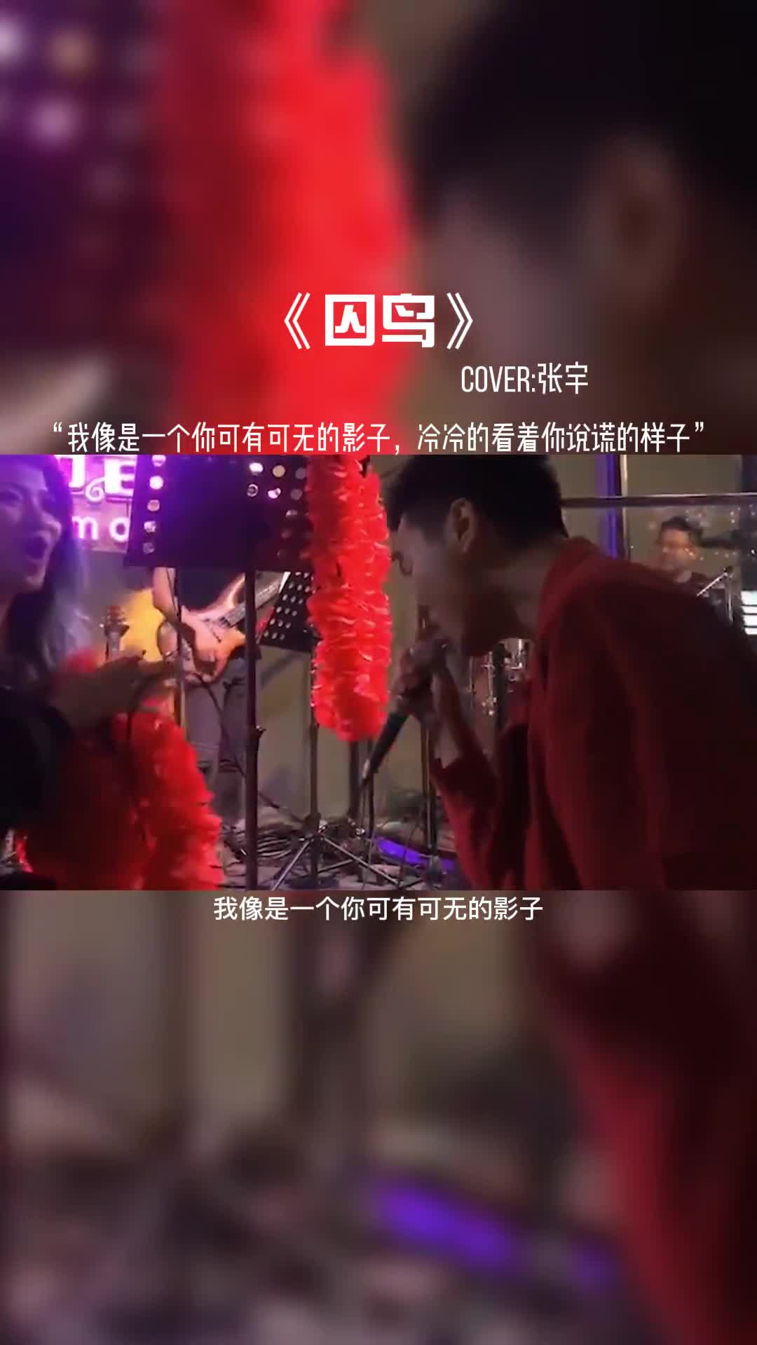 我像是一个你可有可无的影子，冷冷的看着你说谎的样子。#音乐 #每日推荐音乐 #音乐现场 #音乐分享