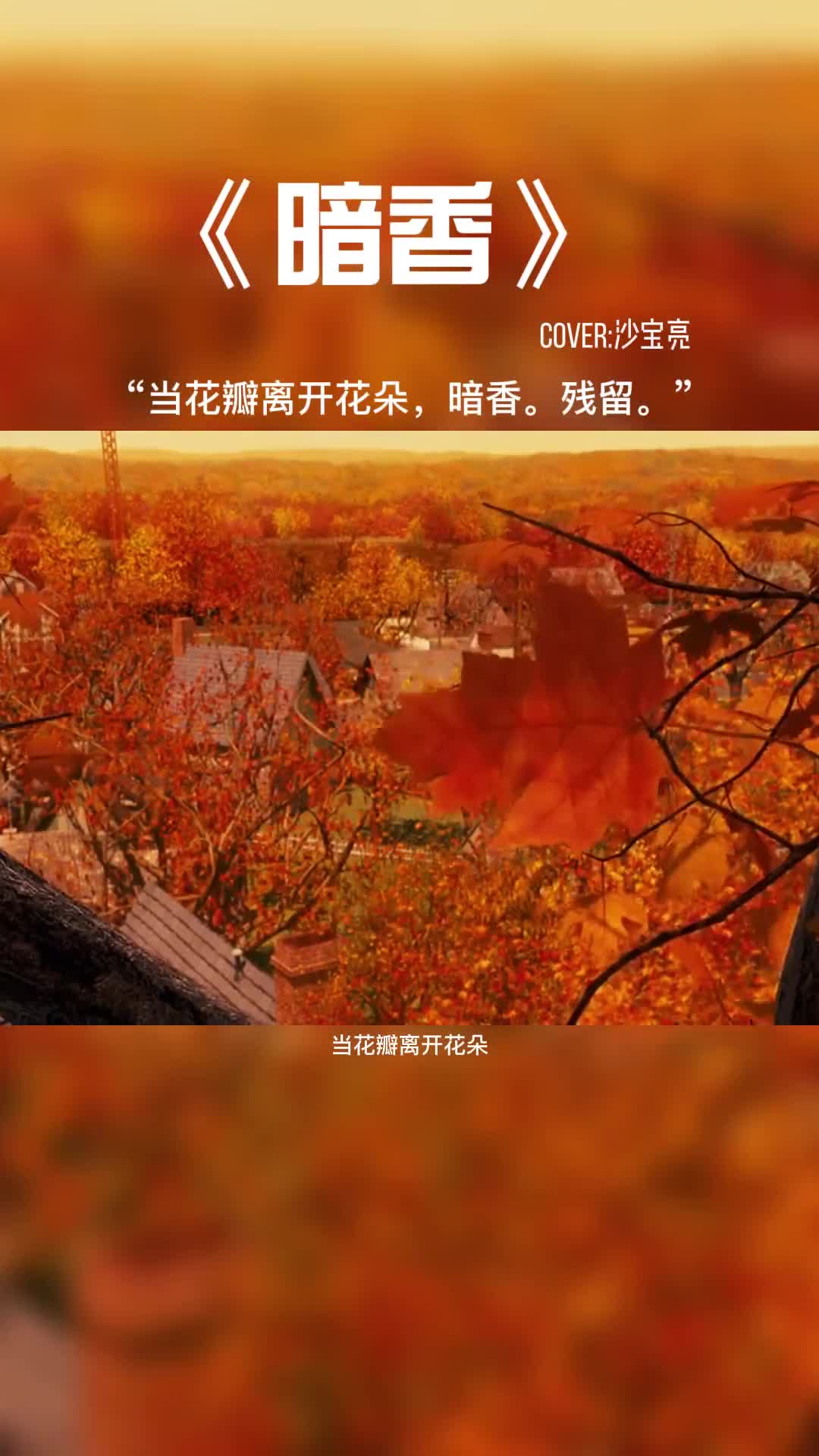 当花瓣离开花朵，暗香。残留。#音乐推荐 #音乐分享 #好歌推荐 #好歌分享