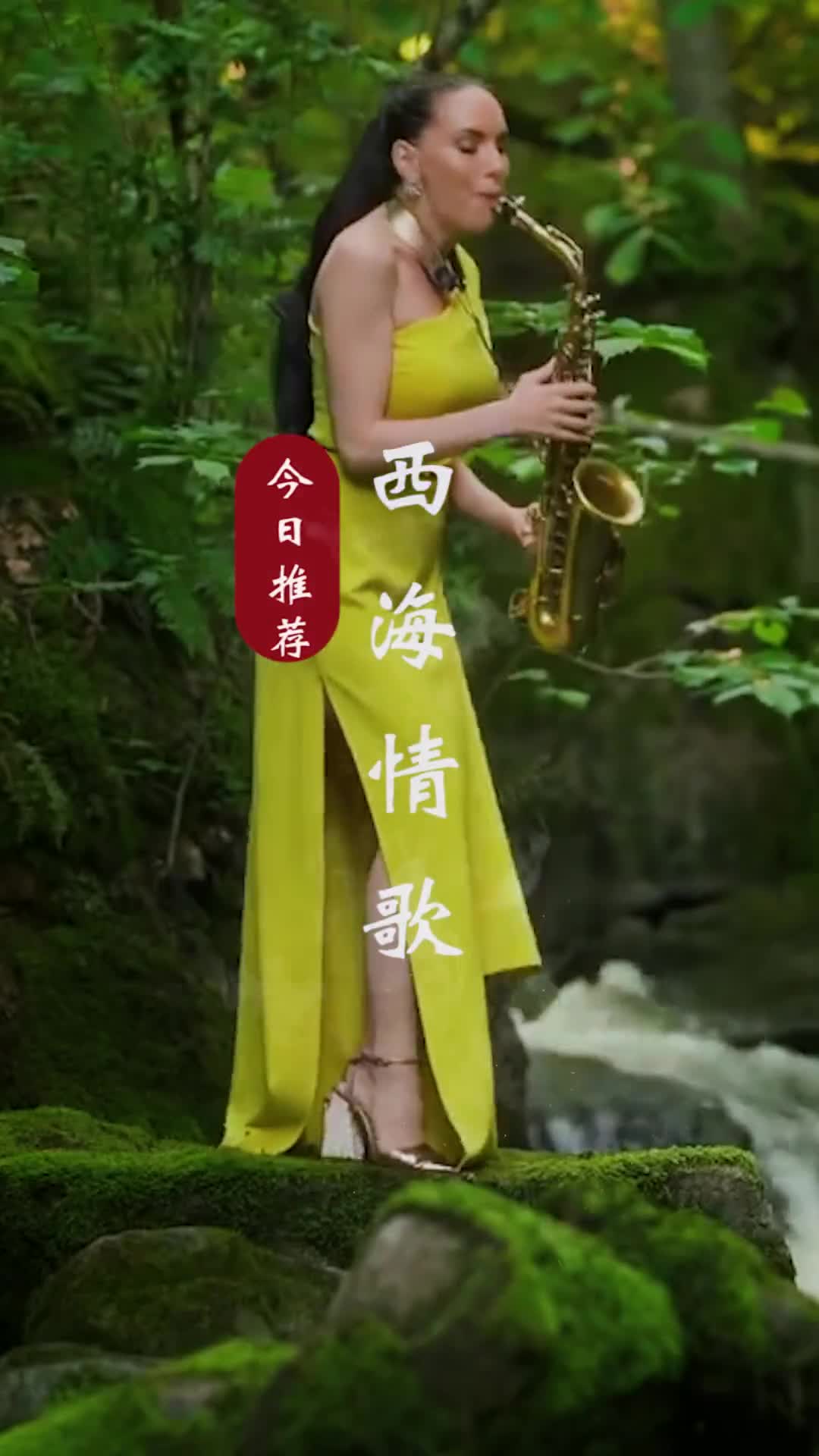 刀郎之后，再无西海，一起一落是人生，一喜一忧是心情，一苦一甜是生活，一朝一夕是日子，一岁年龄，一岁人，一岁经历，一岁悟#西海情歌