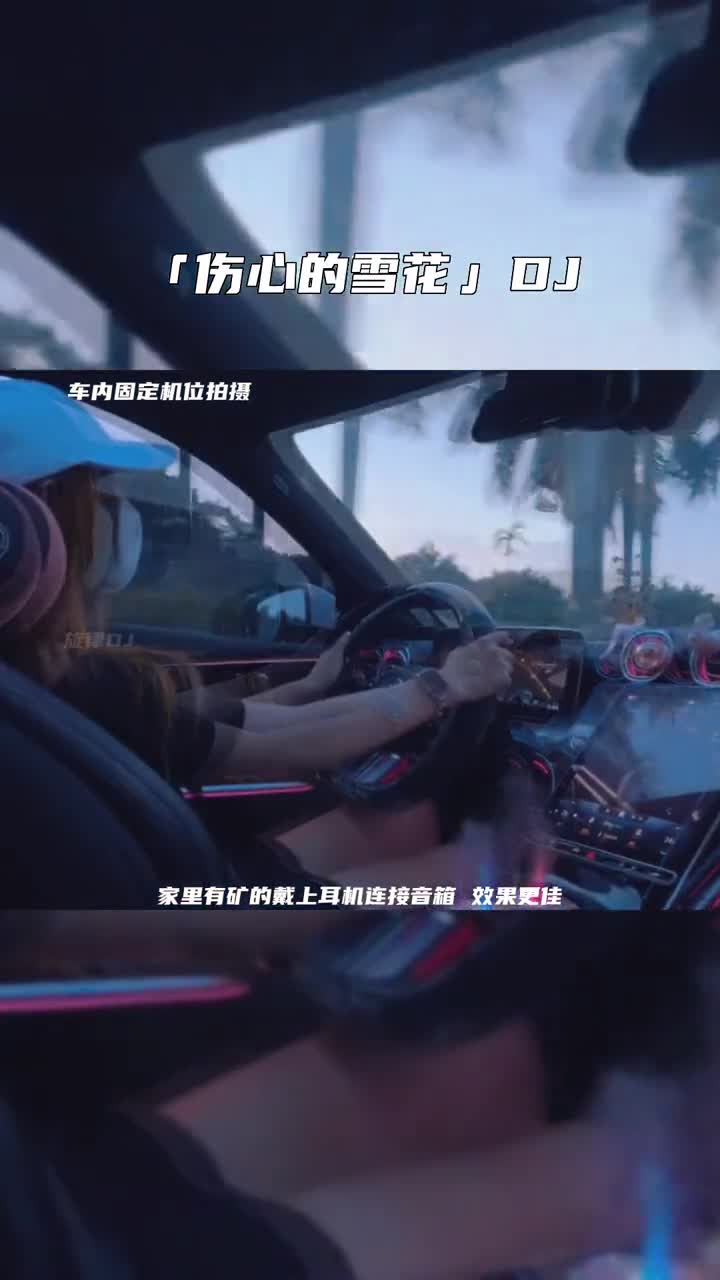 伤心的雪花 电子琴演奏 电子琴重低音 电子琴dj 开车必听