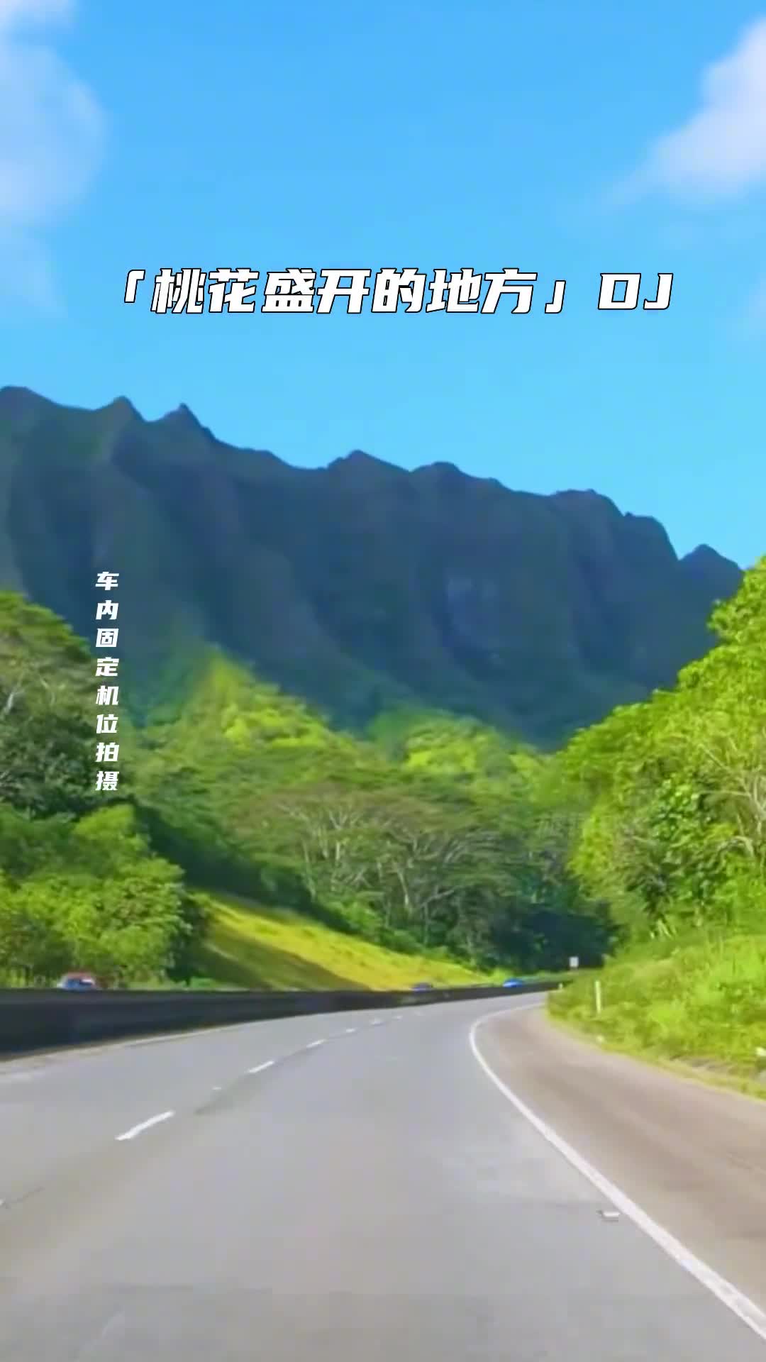 在哪桃花盛开的地方 车载音乐 电子琴dj dj 开车必听 音乐推荐 经典歌曲